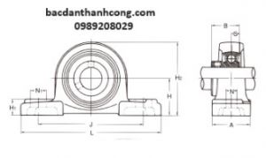 Bạc đạn gối đỡ BP204 Asahi chính hãng giá rẻ