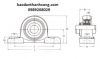 bac-dan-goi-do-bp206-asahi-chinh-hang-gia-re - ảnh nhỏ  1