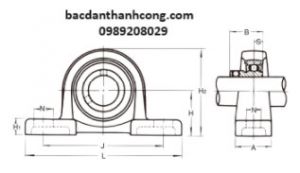 Bạc đạn gối đỡ BLLP5J Asahi chính hãng giá rẻ