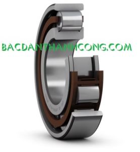 Vòng bi bạc đạn N 209 SKF NSK NTN Koyo FAG Nachi