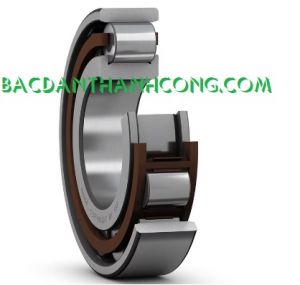 Vòng bi bạc đạn N 28/630 ECMB/HB1 SKF