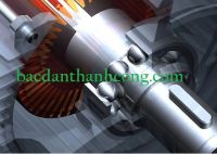 Tại sao vòng bi bạc đạn được sử dụng nhiều trong các loại máy móc khác nhau