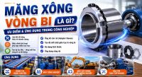 Măng xông vòng bi là gì? Ưu điểm và ứng dụng trong công nghiệp