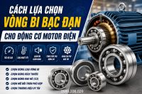Cách lựa chọn vòng bi bạc đạn cho động cơ motor điện
