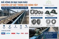 Vòng bi bạc đạn nào chuyên lắp đặt trong các băng tải?