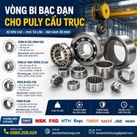 Vòng Bi Bạc Đạn Cho Puly Cẩu Trục