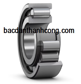 vong-bi-bac-dan-ncf-2338-ecjb-pex-skf