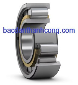 vong-bi-bac-dan-nuh-2334-ecmh-pex-skf